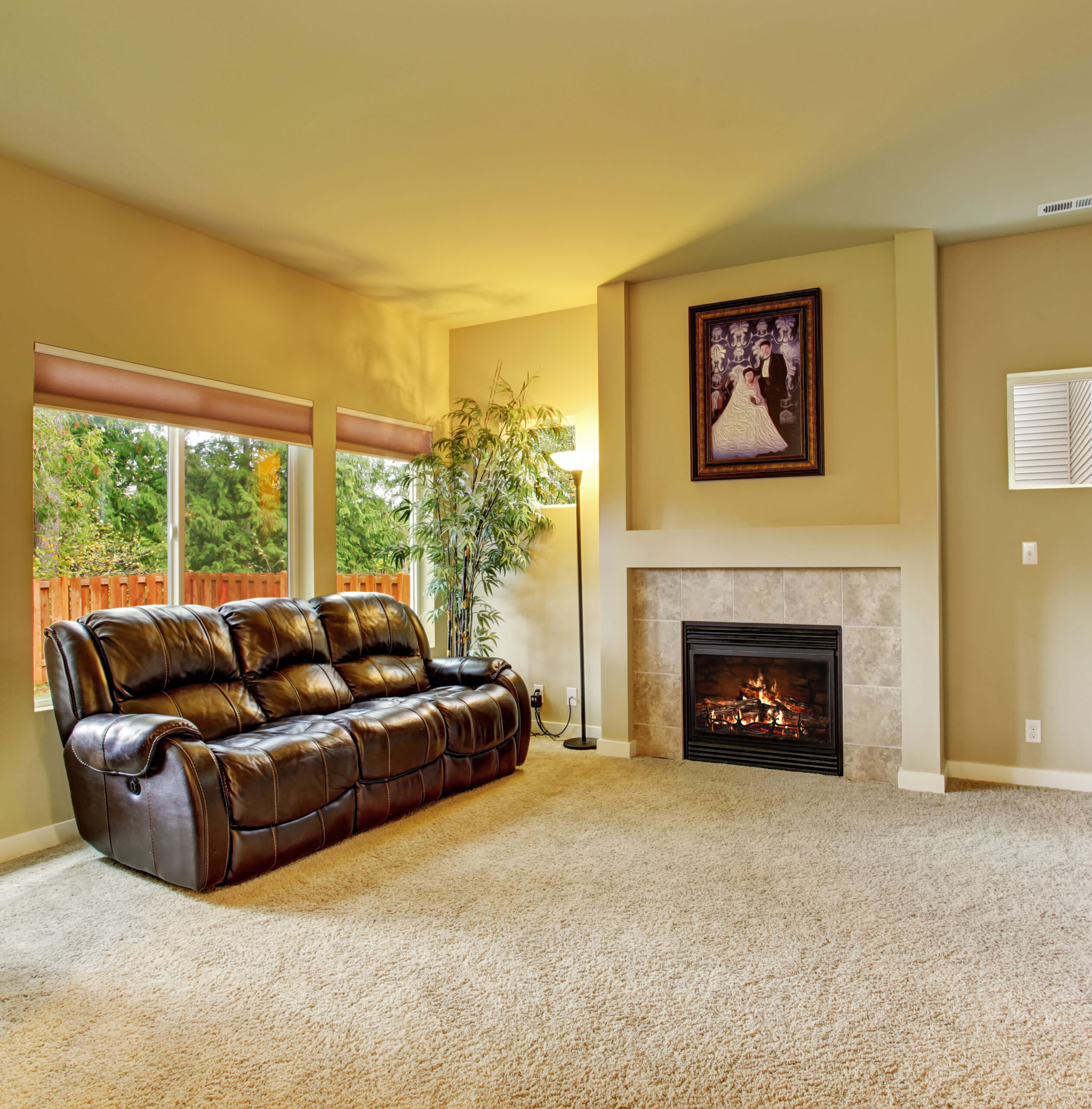 gas fireplaces